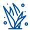 Lawn supplies and lawn care products
