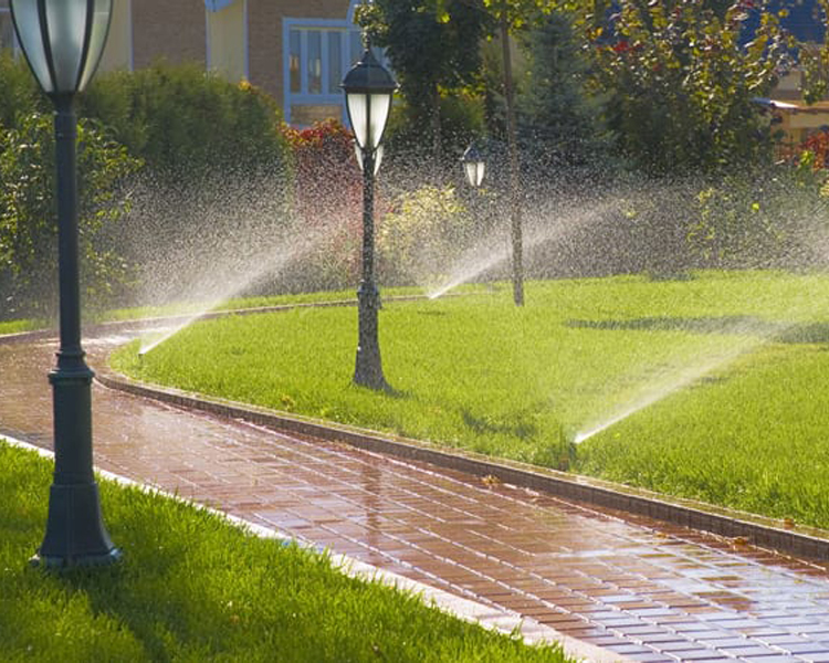 Garden and water management project