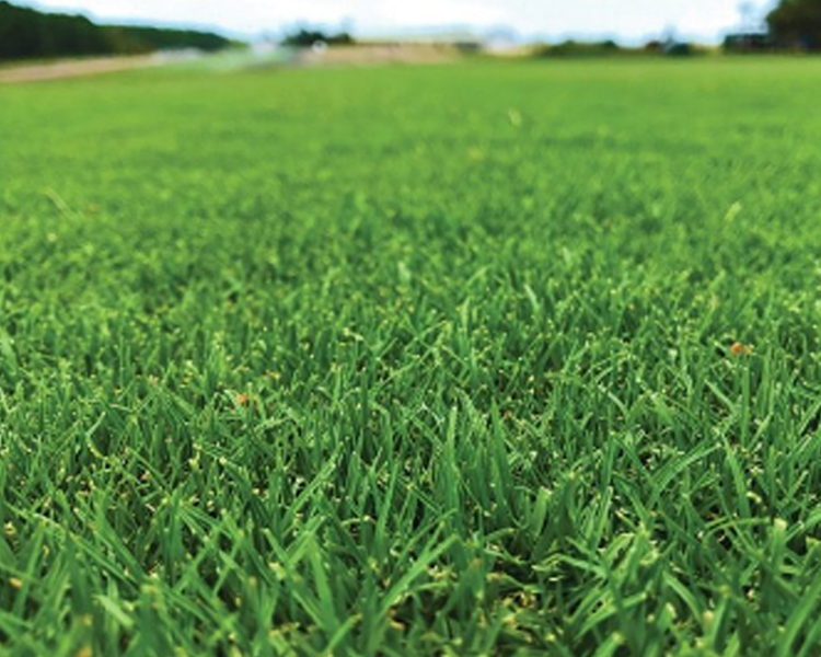 Garden improvement services by WaterPro's